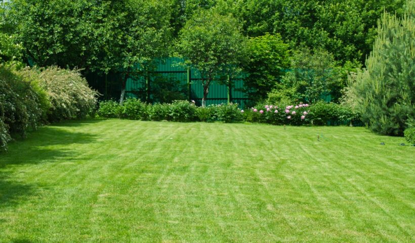 Lawn Care Treatments