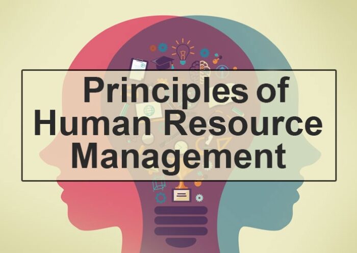 Use of a Human Resource Management System and Its Principal Benefits