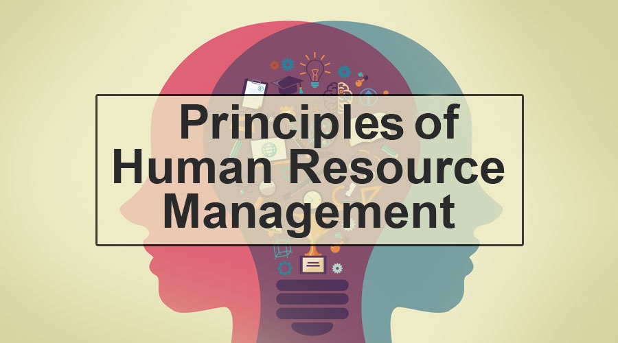 Use of a Human Resource Management System and Its Principal Benefits